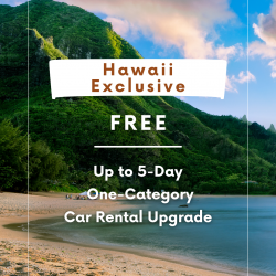 Hawaii Sales Campaign